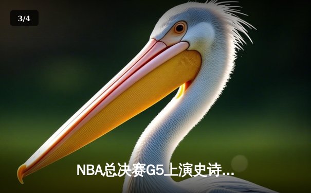NBA总决赛G5上演史诗逆转 丹佛掘金加时险胜迈阿密热火夺赛点 - 3